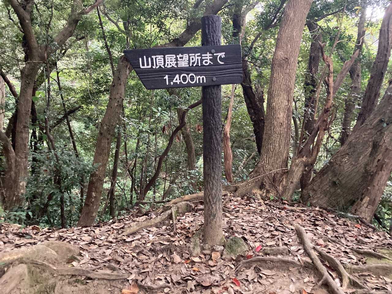 結構歩いたけどー！
