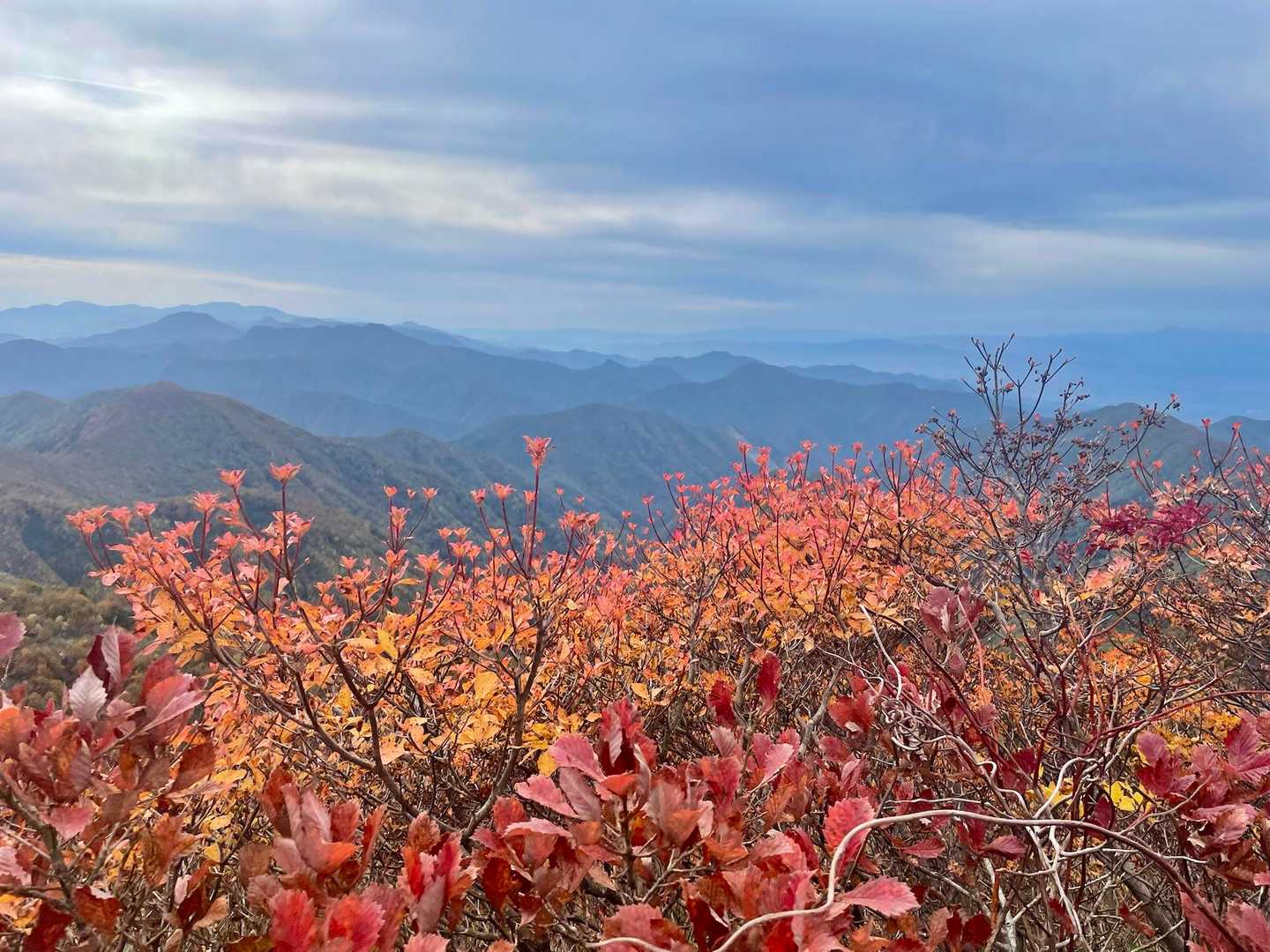 連なる山 関山トンネル-寒風山-白髪山 往復コースの地図・登山ルート・登山口