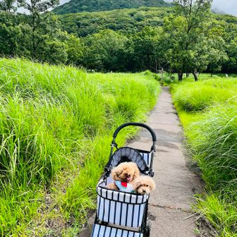 で…本当に晴れそうだっ☀️☀️笑笑
ヒマロン笑顔☺️