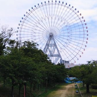 天保山大観覧車🎡
めっちゃ大きい!!
これ涼しくなったら乗りたいなぁ😃