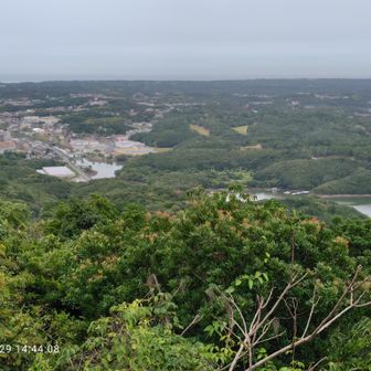 左に住宅街