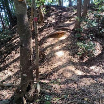 堀切1
城があった名残。
