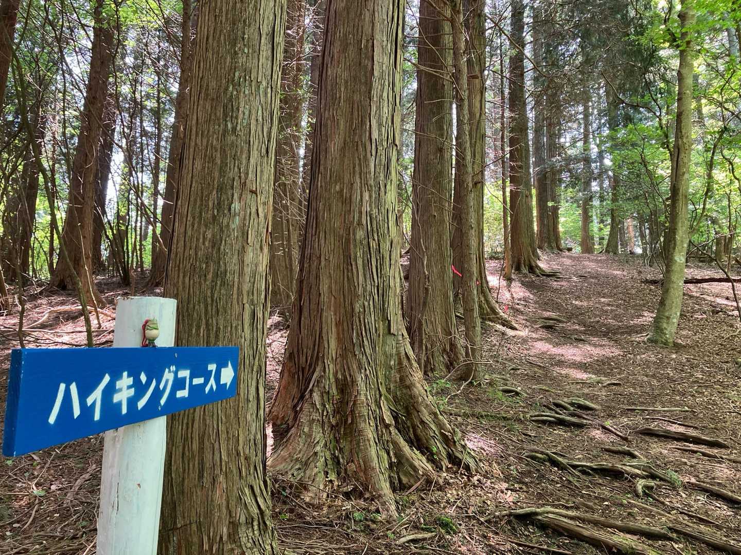 やまびこコース入口-床几の峠-小馬廃寺-駒山 往復コースの写真