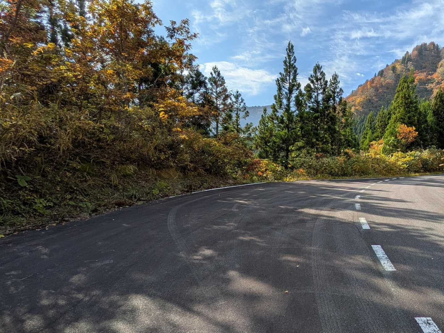 こちらに駐車しました