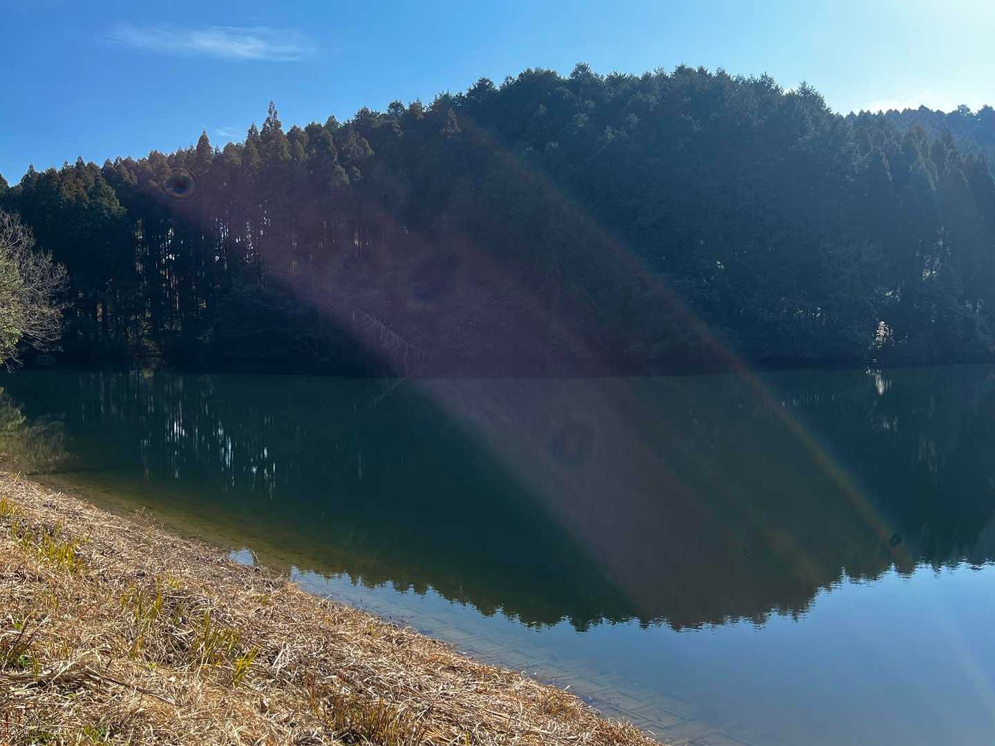 星塚山 周回コースの写真