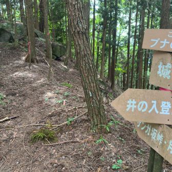 こっから縦走