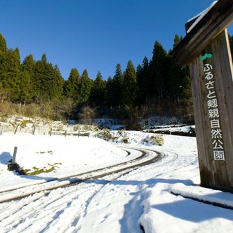 やっぱりこの時間だと雪も解けて、皆さん車で上まで登られているようです🚗