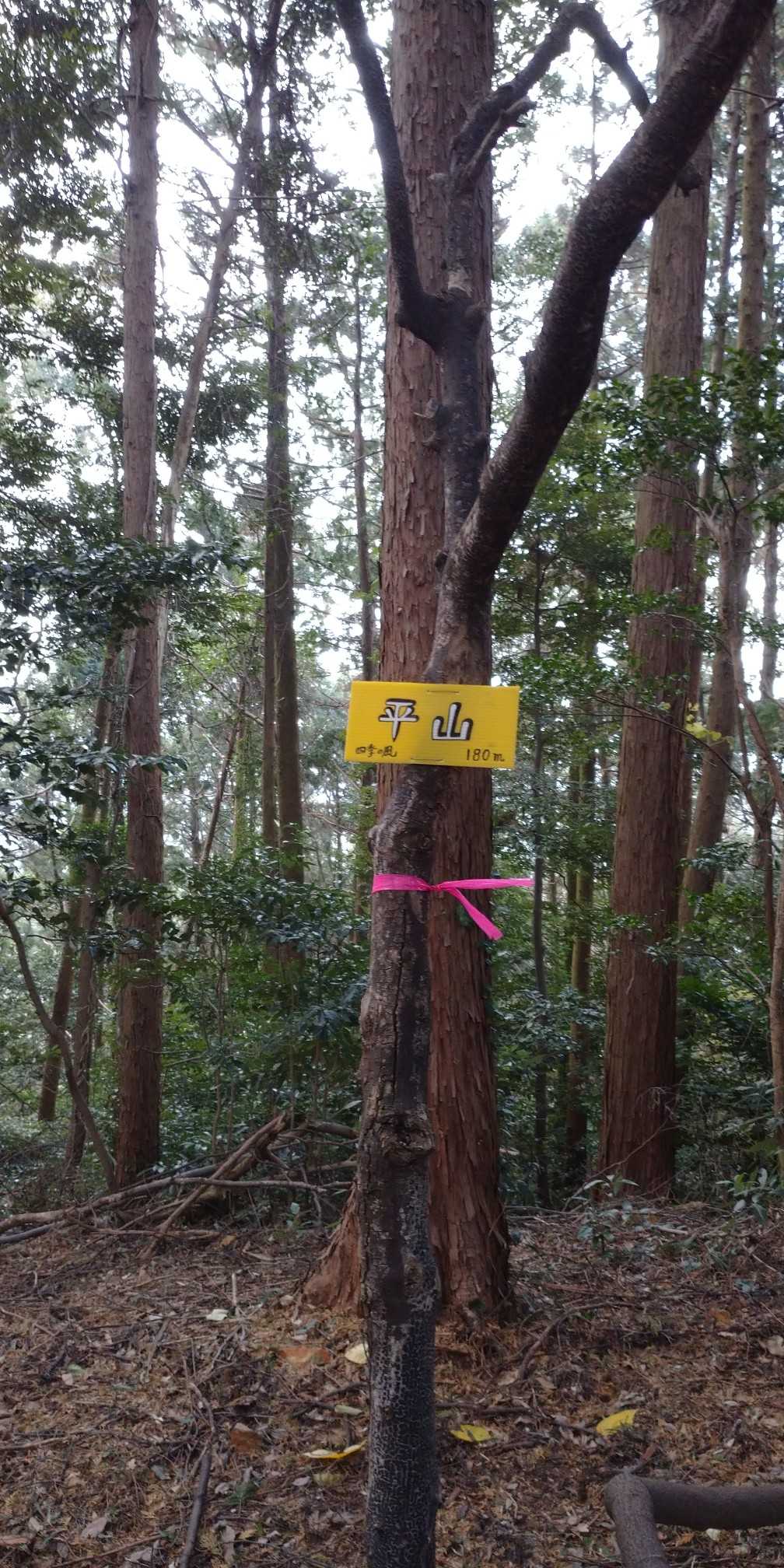 すぐさま平山～♪平山天満宮に下りていく道もあります～♪