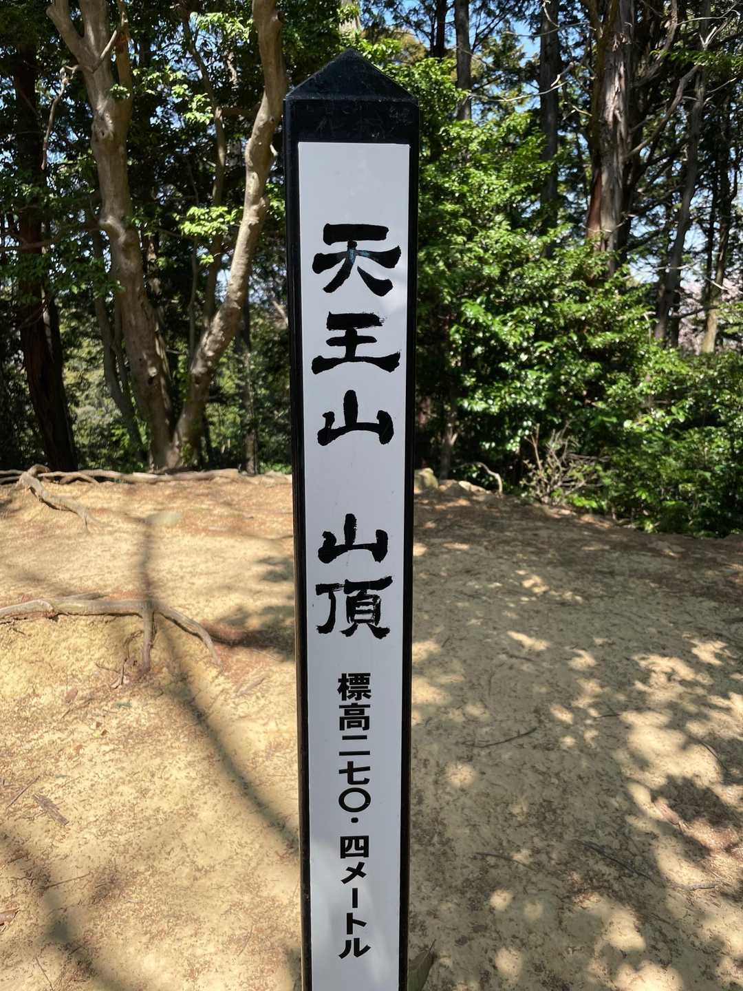 のんびり歩いて山頂です
