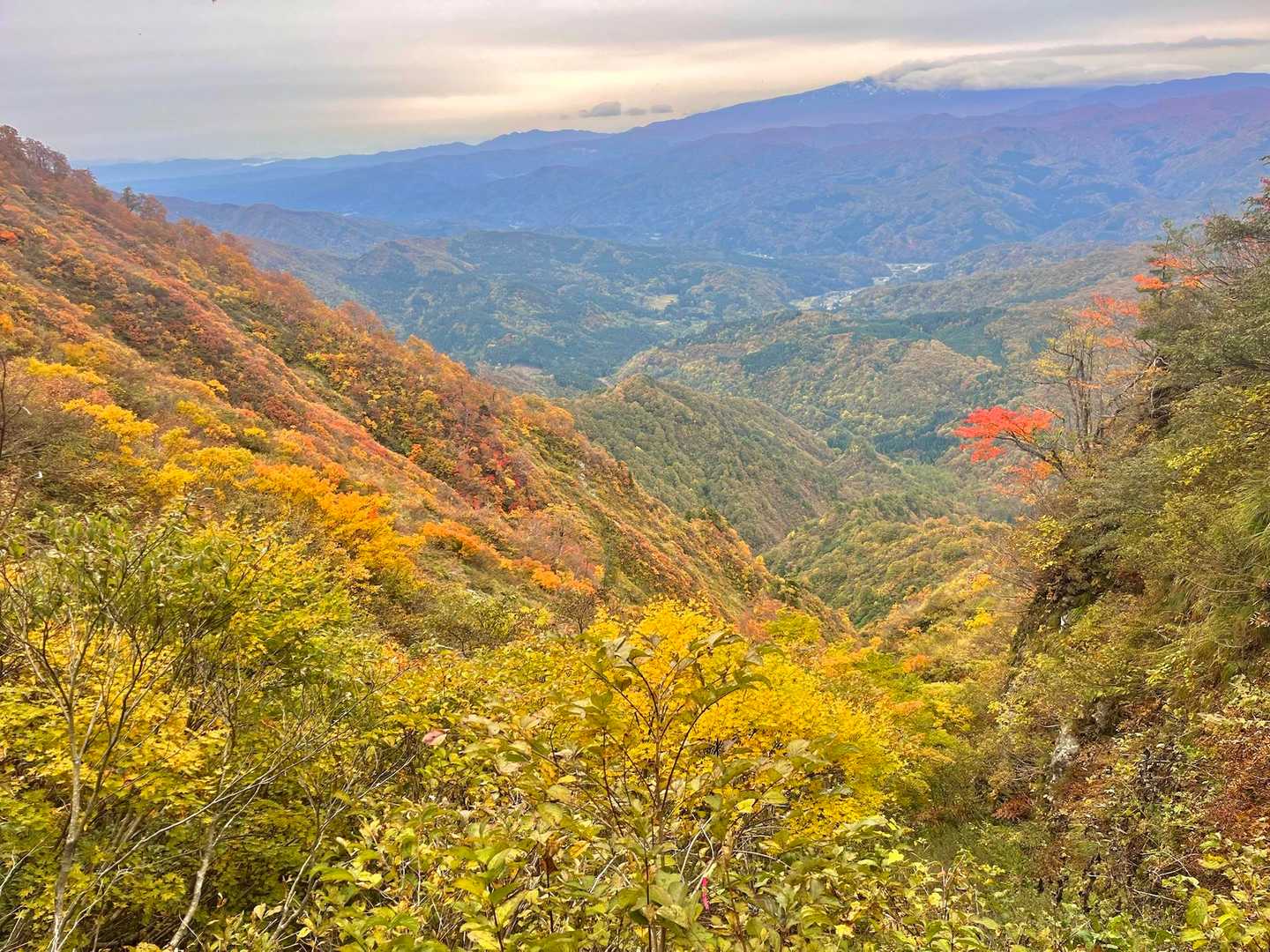 槍ヶ峰で遊んだ後は、気を引き締め直して下ります😁
