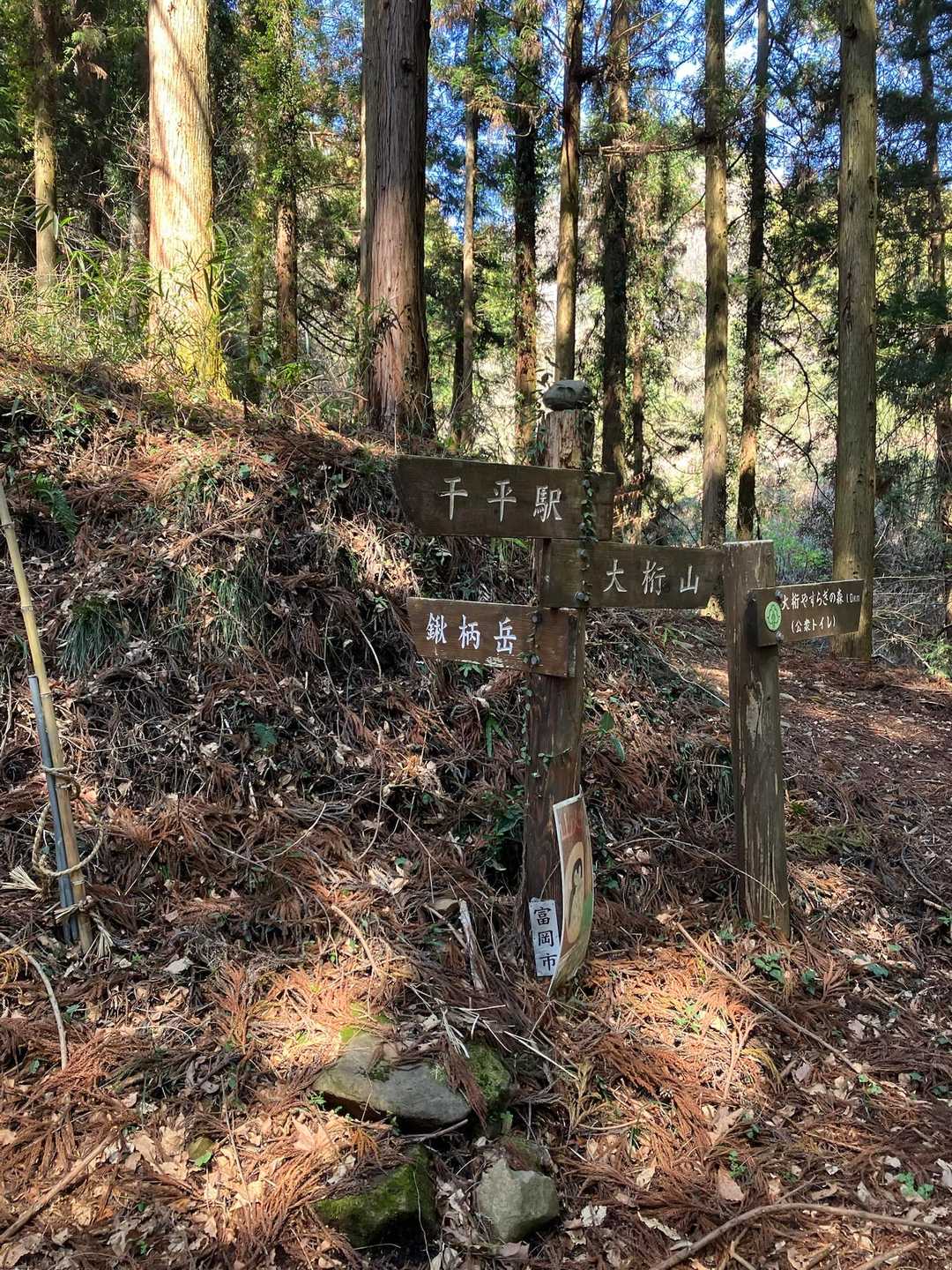 鍬柄岳登山口