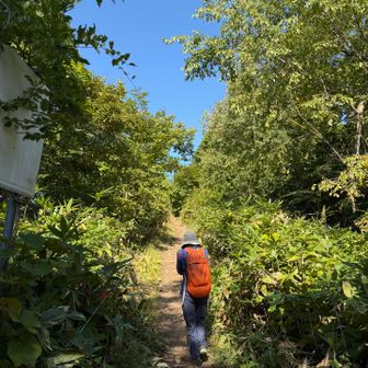 馬の背分岐
