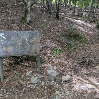 登山道は←と書いてある