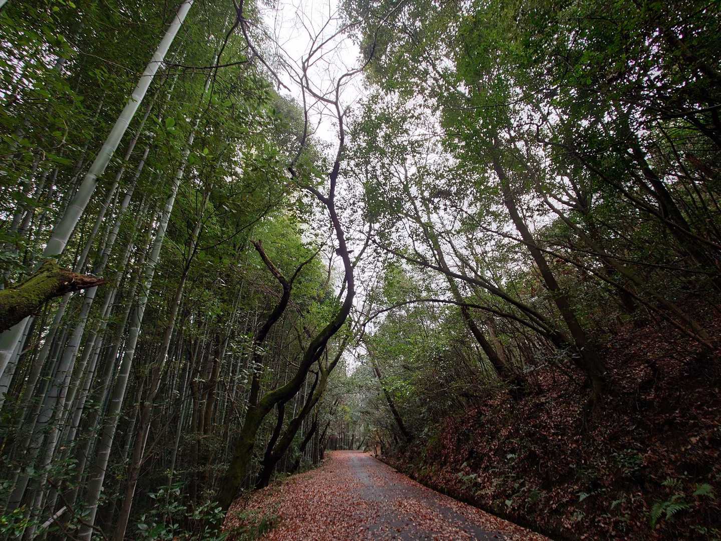 ゴールの匂い