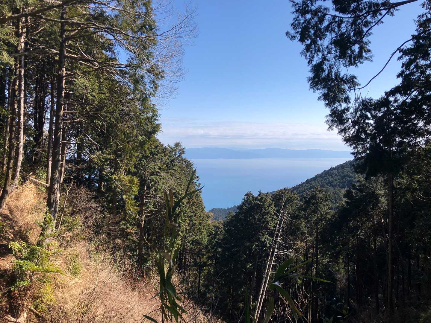 駿河湾からの風が気持ちいい✨