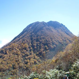 大倉乗越への登り返しも綺麗な景色が辛さを緩和してくれました(´∀｀)