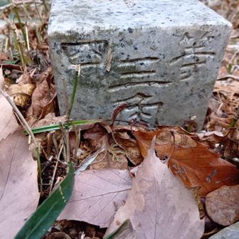 竹内山は四等三角点、と（メモメモ）