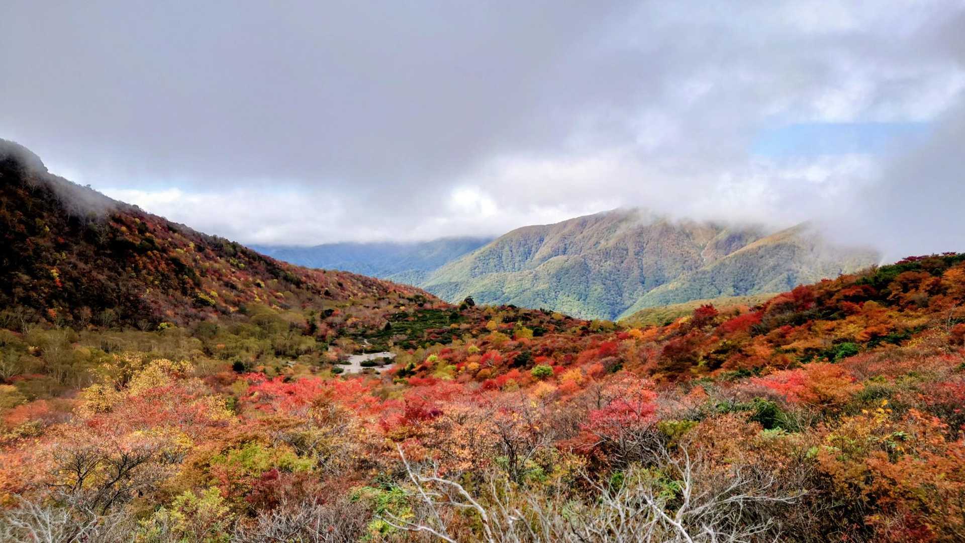 ロープウェイ山頂駅発着｜姥ヶ平散策コースの写真