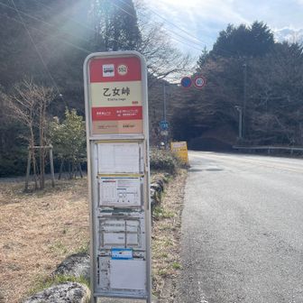 が！！
乙女峠に箱根登山バスの時刻表がありません。
上から白い紙？被せて消されています。
え？？？
なんで？？
もしかして去年のお知らせ？だった？？
（帰ってから確認しても間違ってはいなさそうでした）

通過予定時刻１分前に小田急のハイウェイバスが通って行きましたが、それっきり。

遅れることも多い路線ですが、来ると書かれていないものを待っていることもないので、とりあえず温泉会館前まで歩く事にします。