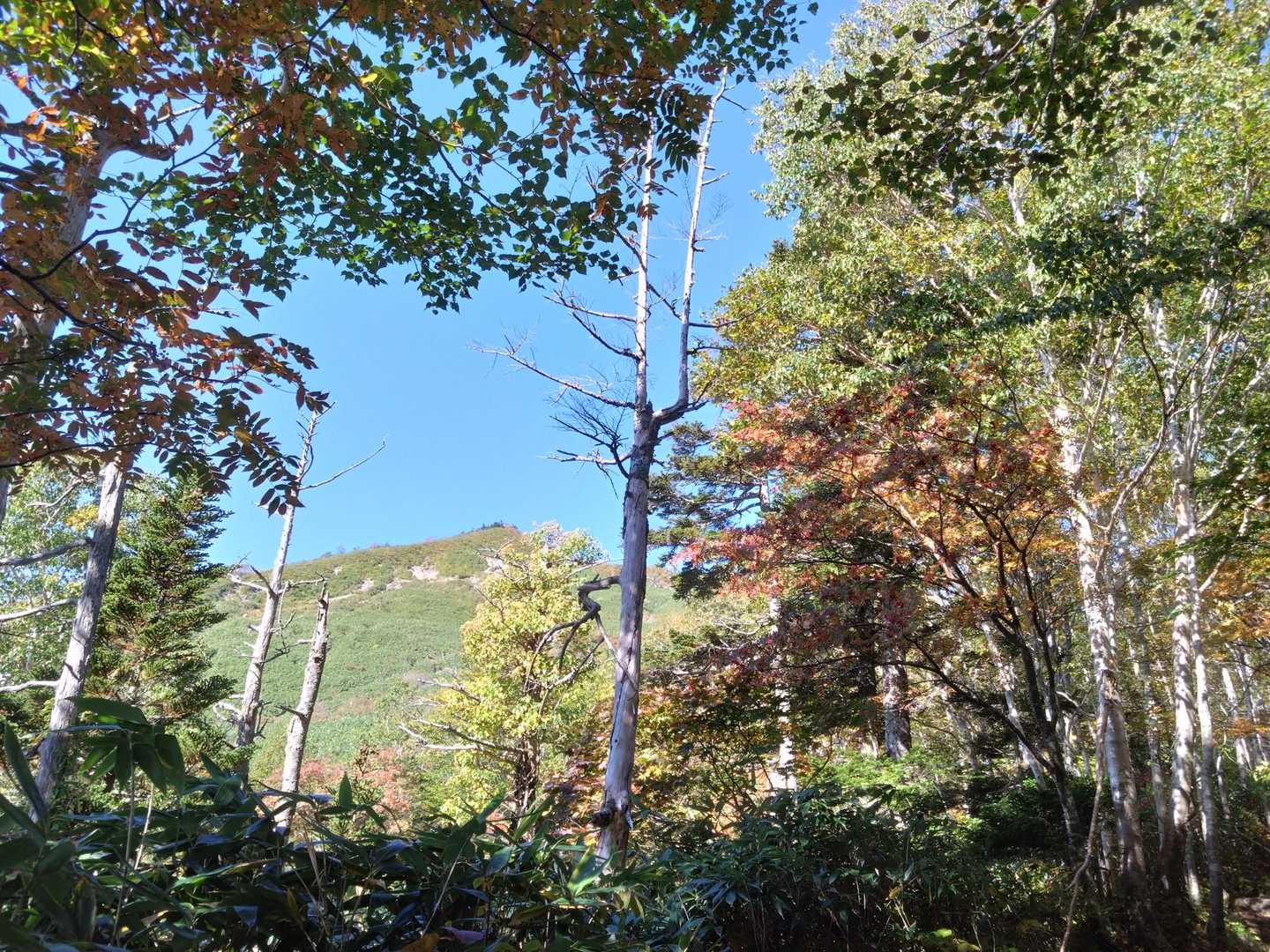 源太ヶ岳が見えてきた👀