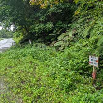 車道歩きが続きます