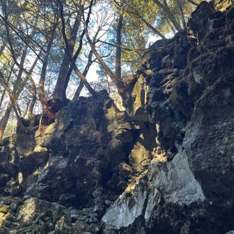 洞穴の窪地に入って見上げると小人になった気分