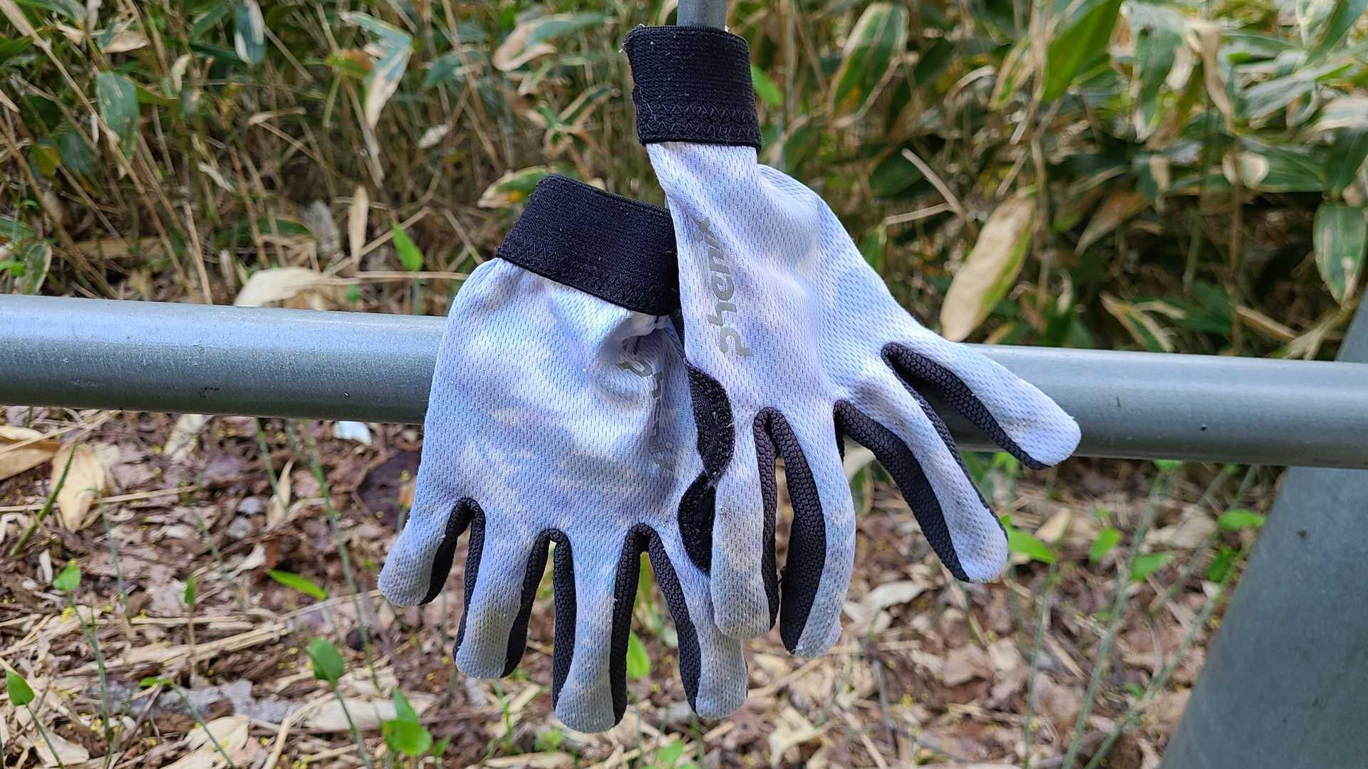 途中で拾いました