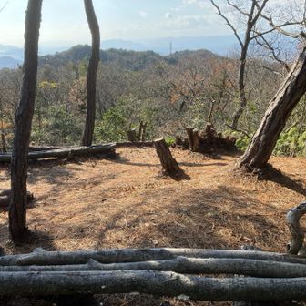丸太のベンチがあり、くつろげます😊良い眺めです。高尾山が正面に見えます。
これだけの広場を作るのは大変だったでしょうね。すごいです👍

ささら山は初めてですが、YAMAPでは6回目登頂になってました🤣今まですぐ近くの道を通ってたので、遡って登ったことになったようです。
