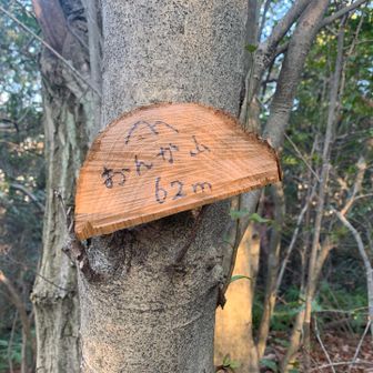 いつもの標識④