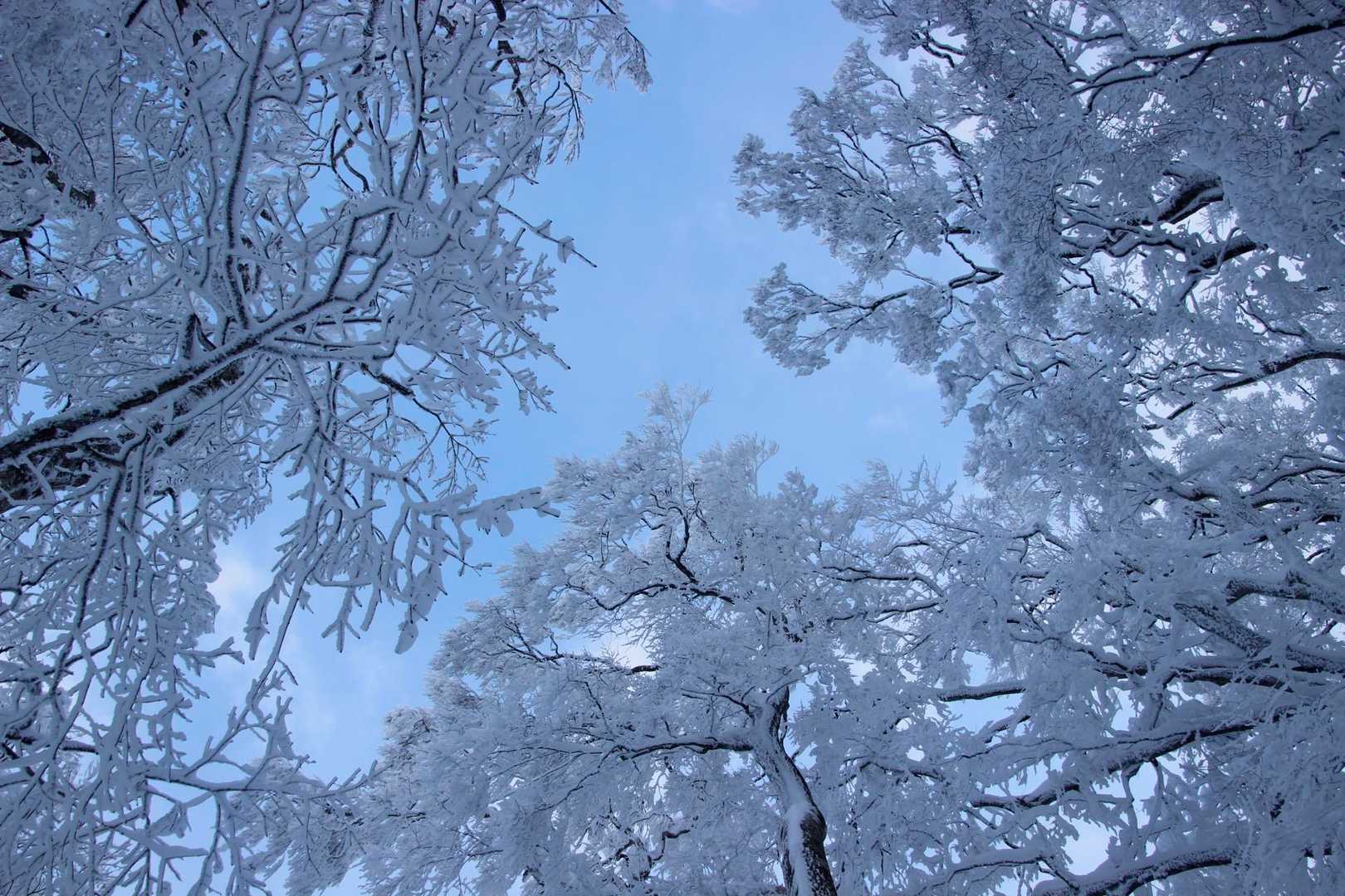 青空に雪❄️やっぱりいい😆