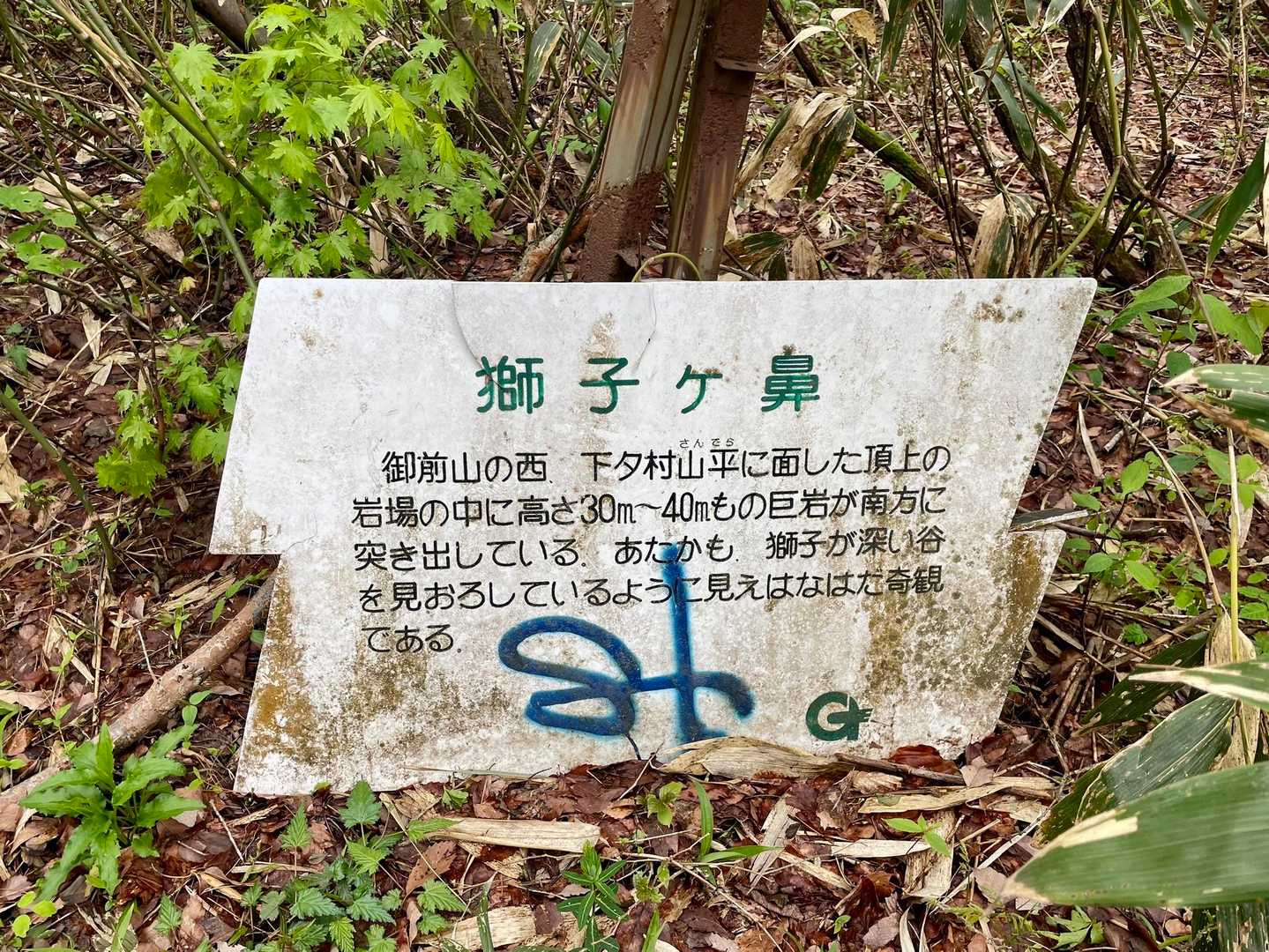 ふむふむ