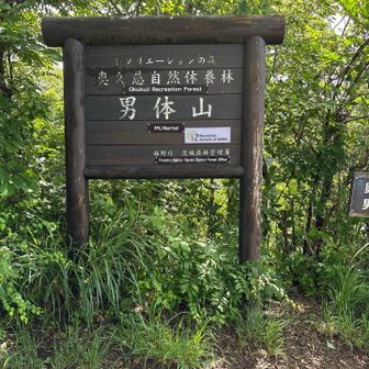 山頂⛰️