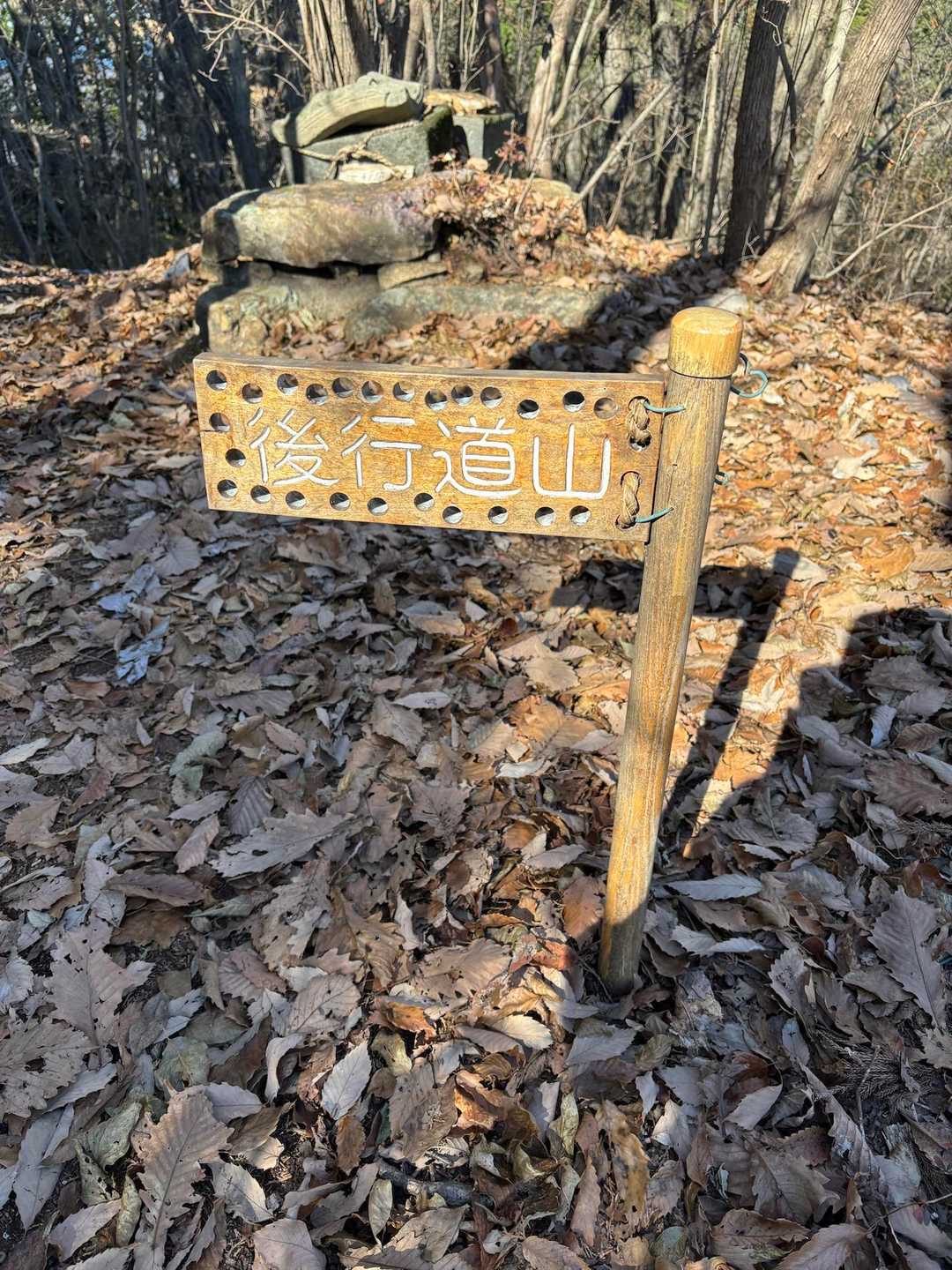 後行道山登頂　