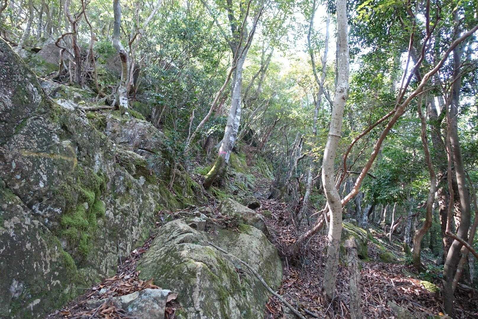 ペースが上がらない・・・