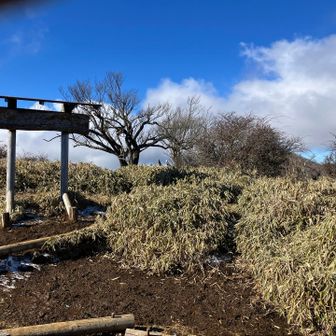 丹沢山到着。看板の文字見えなくなってるね。五年前はしっかり見れたのに。