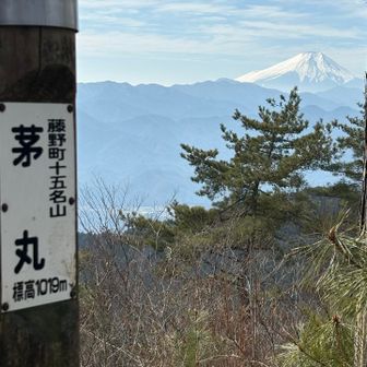 茅丸1019m 今日のコース内最高峰
