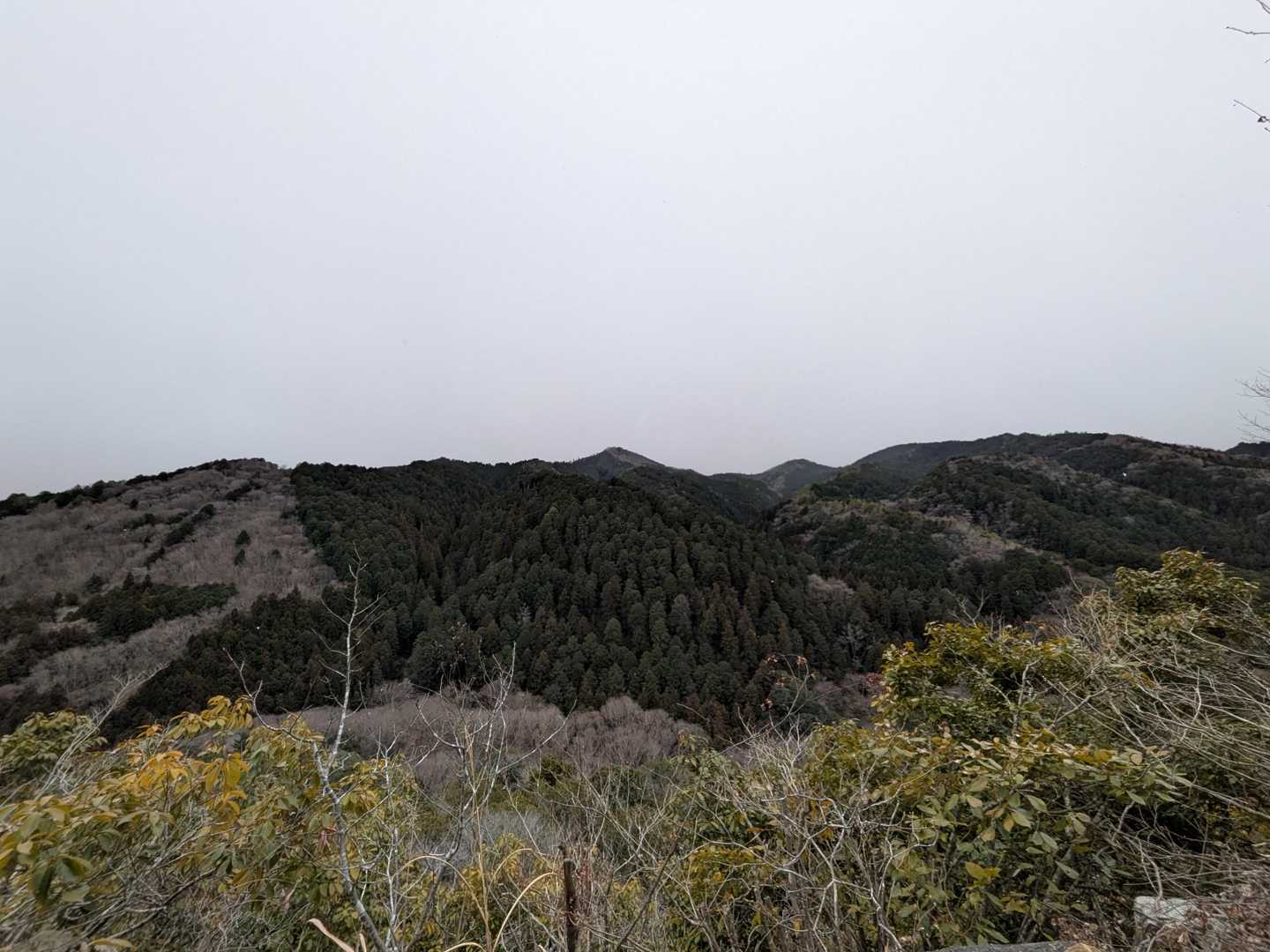 歩いてきた赤沢富士🗻