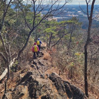 蟻ンコで下っていたらご年配のご夫婦に抜かれる。。。