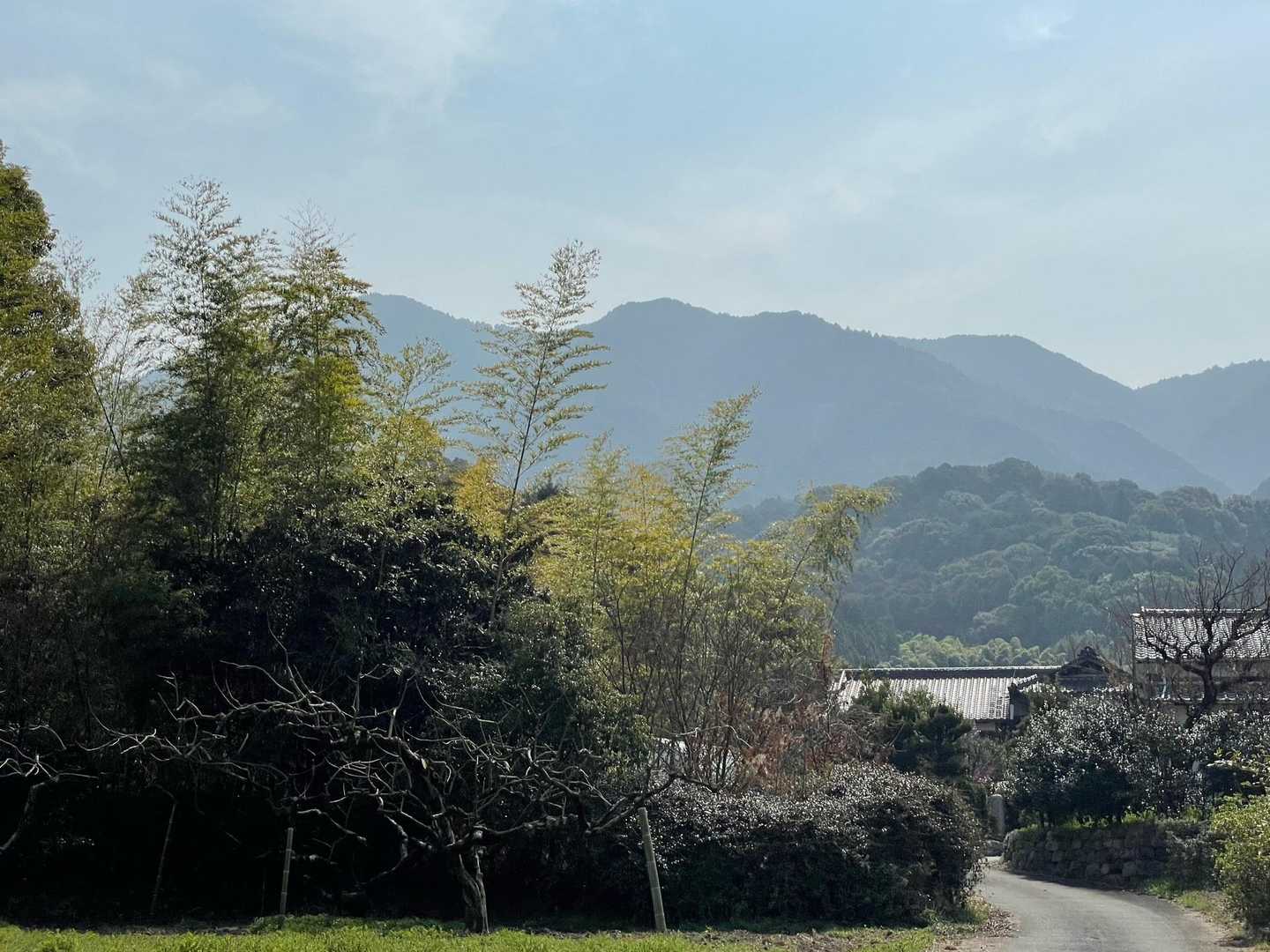 今日登った山々
イマイチ霞んでよく分かりませんが‥