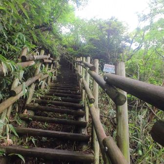 急階段😱
昔みたいにヒーヒー言わなくなった🙋