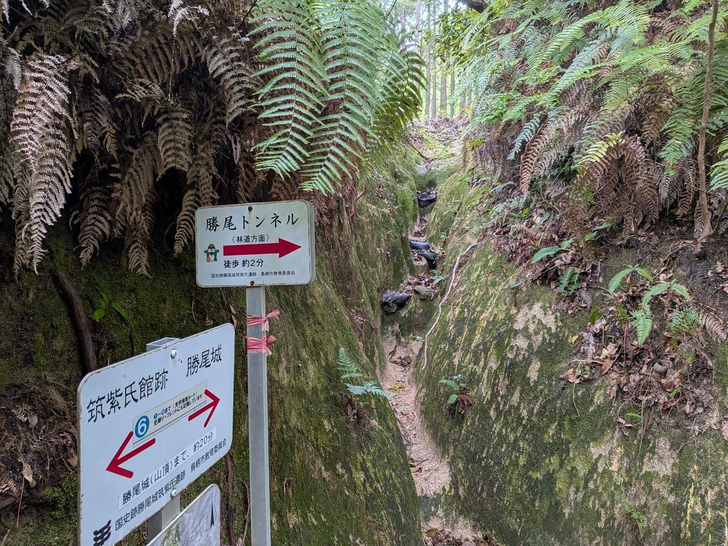 佐賀の土器山と同じような登山道の印象をうけた