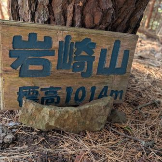 甲斐百山　岩崎山
YAMAPでは岩崎山前山
眺望はあまり望めない
ここまで激しかった😰
普通に歩いていたら絶対コースと思わないほどの急斜面