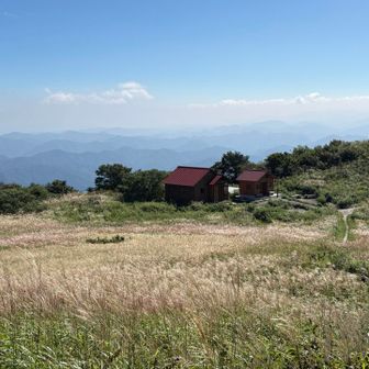 はい山頂〜
台地はススキに覆われすっかり秋模様🎑