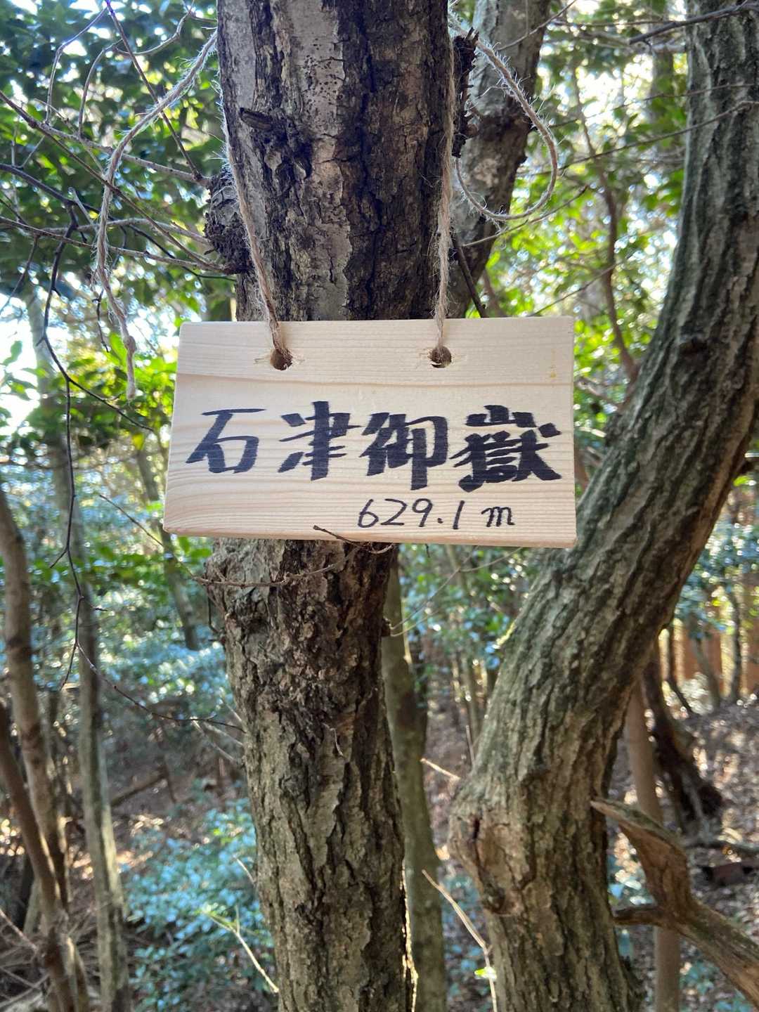 こう見えてカマボコの板の4倍ぐらいの大きさがあります。