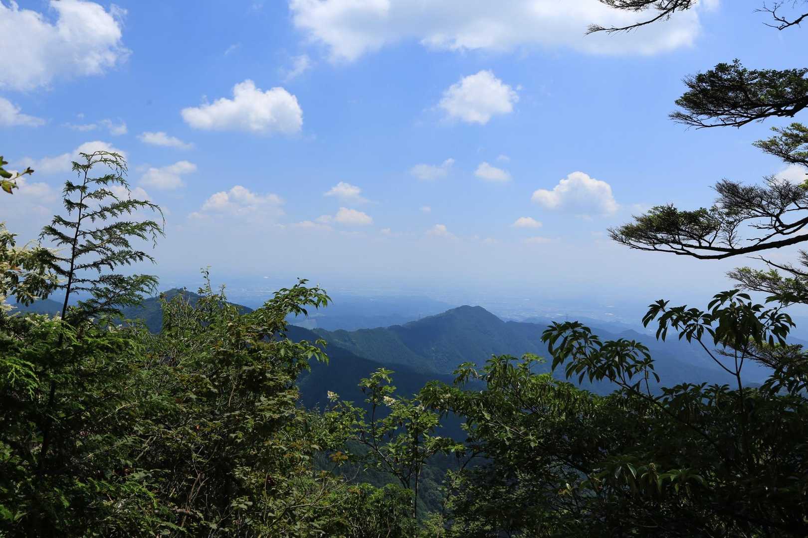 滝本駅-御岳山駅-大塚山-天狗の腰掛け杉-芥場峠-鍋割山- 縦走コースの写真