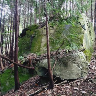 児玉男体山への道中にあった大岩。いきなり出てきたのでびっくり。こんな所に⁉️て感じ。