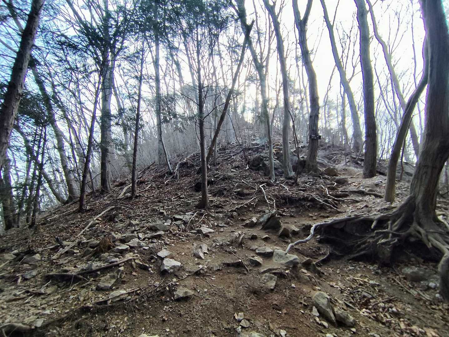 鉄塔から急登になります😆飯盛山山頂は直ぐです😅