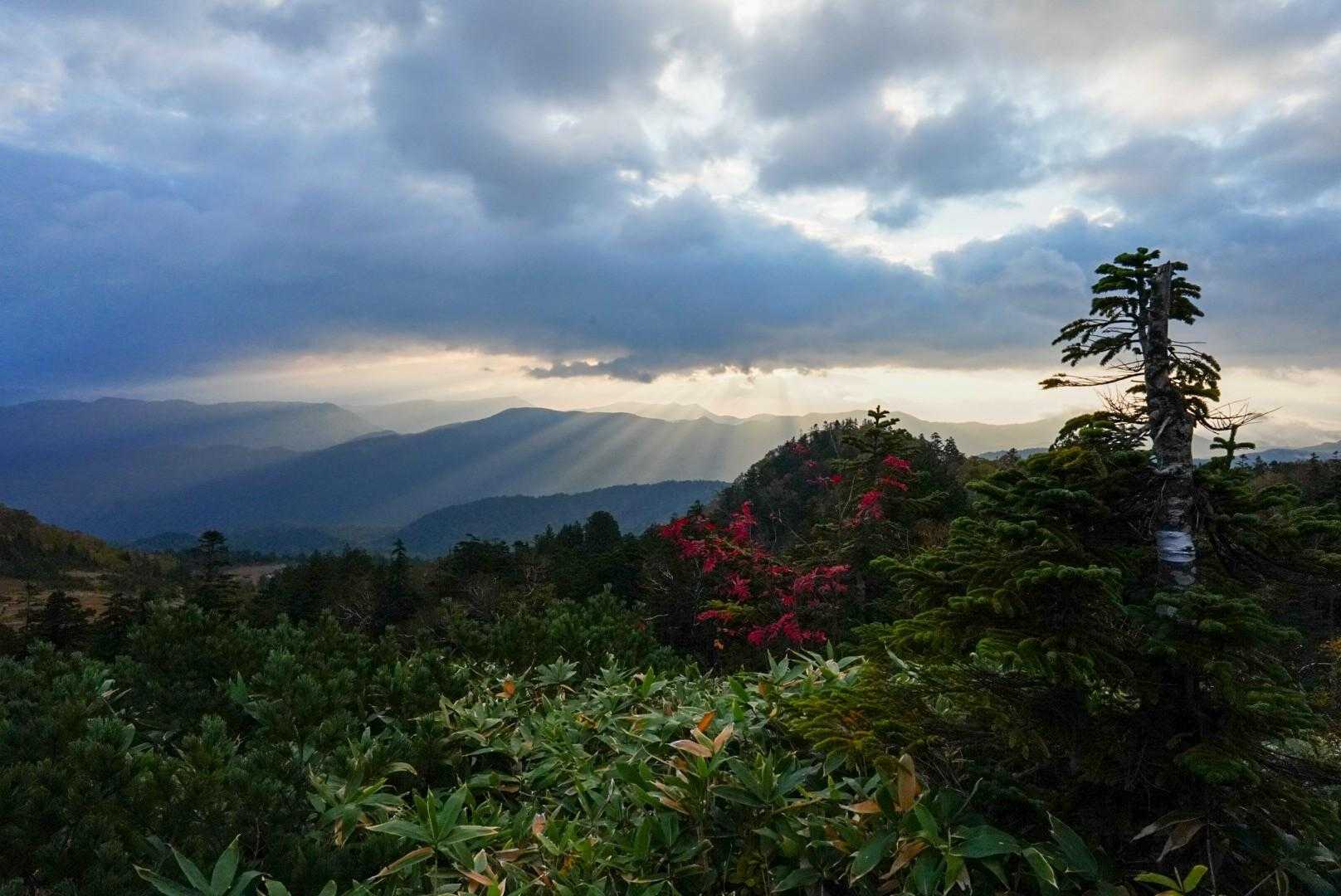 光芒☀️