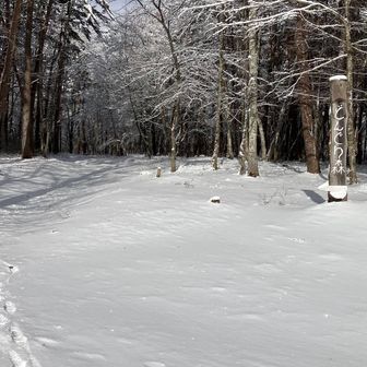 よし2回目行きます