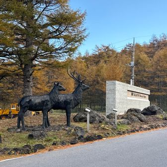 鹿🦌🦌さんがお出迎えしてくれました♪